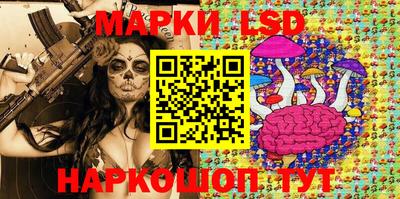 apvp Краснодар