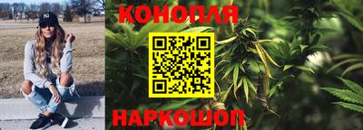 apvp Краснодар