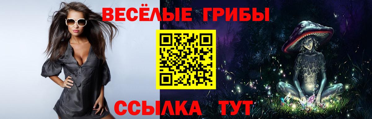 Псилоцибиновые грибы Psilocybine cubensis  Вход с VPN  Ефремов 